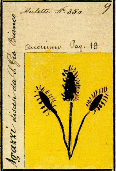 File:Agazzi Stemmario Camozzi 9.jpg