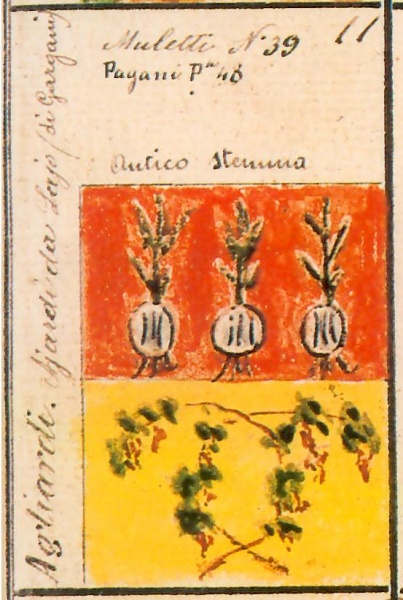 File:Agliardi Stemma antico Stemmario Camozzi 11.jpg