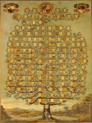 Brembati albero 1.jpg