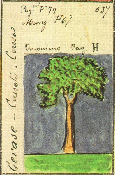 File:Ceresoli Stemmario Camozzi 637.jpg