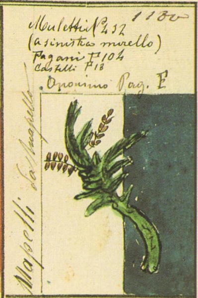 File:Mapelli Stemmario Camozzi 1180.jpg